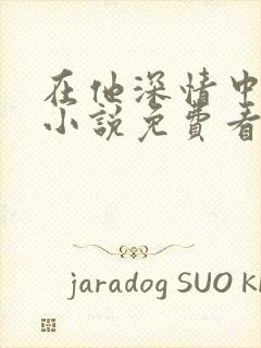 在他深情中陨落小说免费看