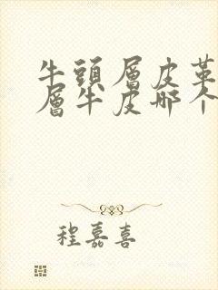 牛头层皮革和头层牛皮哪个好封面