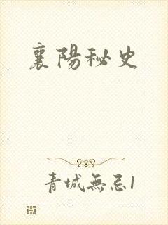 襄阳秘史