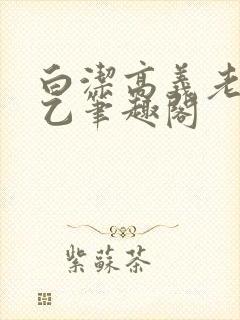 白洁高义老七王乙笔趣阁