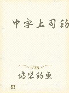 中字上司的人妻封面