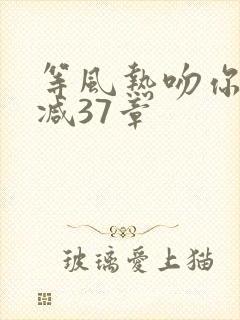 等风热吻你未删减37章