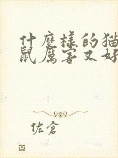 什么样的猫抓老鼠厉害又好养