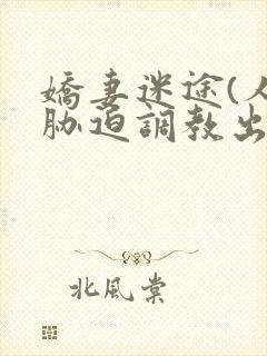 娇妻迷途(人妻胁迫调教出轨文)