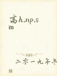 高h,np,sm