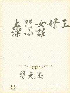 上门女婿王浩李洁小说