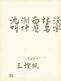 沈洲白林浅小说叫什么名字