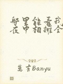 哪里能看我们黑夜中相拥全集