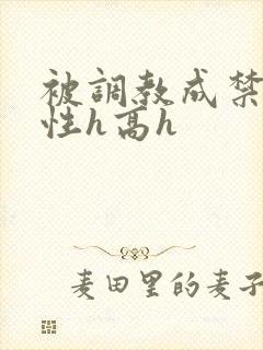 被调教成禁脔双性h高h