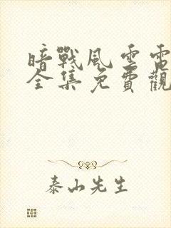 暗战风云电视剧全集免费观看高清封面