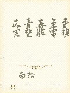 正青春免费观看完整版电视剧