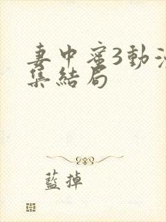 妻中蜜3动漫全集结局