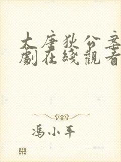 大唐狄公案电视剧在线观看全集免费