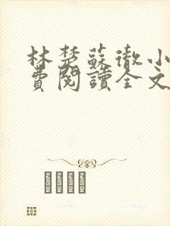 林楚苏彻小说免费阅读全文最新章节封面