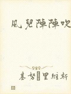 风儿阵阵吹封面