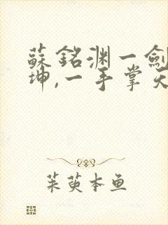 苏铭渊一剑破乾坤,一手掌天下小说