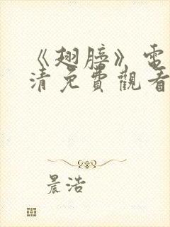 《翅膀》电影高清免费观看