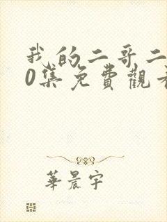 我的二哥二嫂40集免费观看