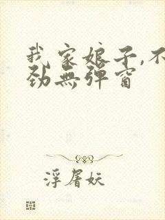 我家娘子,不对劲无弹窗