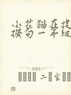 小花猫在捉老鼠扩句一年级封面