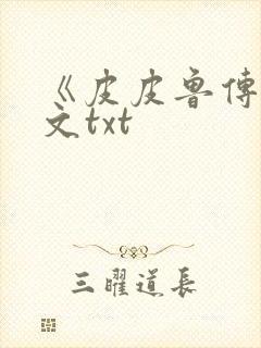 《皮皮鲁传》全文txt