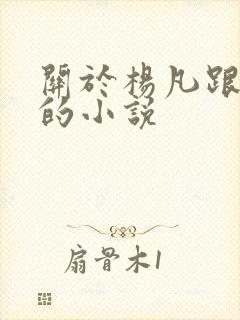 关于杨凡跟李灿的小说