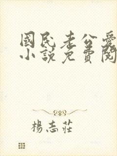 国民老公爱上我小说免费阅读