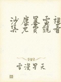 沙尘暴电视剧全集免费观看星辰影院