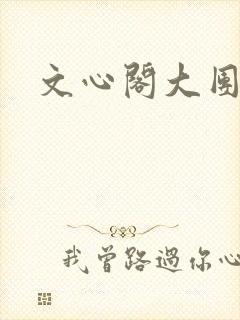 文心阁大团结封面