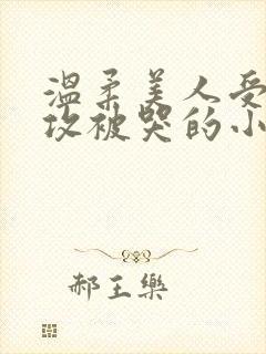 温柔美人受高冷攻被哭的小说封面