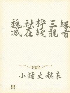 魏秋桦三级未删减在线观看