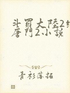斗罗大陆2绝世唐门2小说