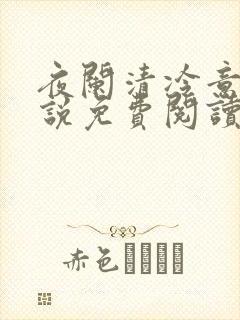夜阑清冷意欢小说免费阅读封面