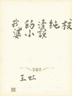 我的清纯校花老婆小说