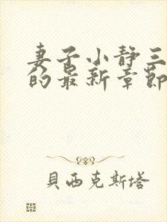 妻子小静三部曲的最新章节