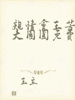 亲情会王芳高敏大团圆免费阅读封面