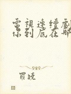 电视连续剧妈妈你到底在哪里