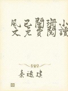 风已阑珊小说全文免费阅读最新章节