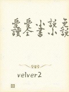 爱爱小说免费阅读全书小说乡村封面