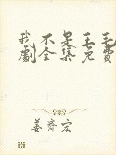 我不是王毛电视剧全集免费播放