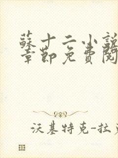 苏十二小说最新章节免费阅读全文封面