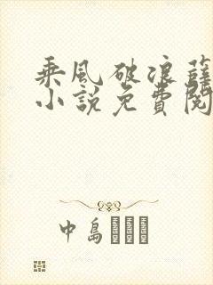 乘风破浪薛家良小说免费阅读笔趣阁