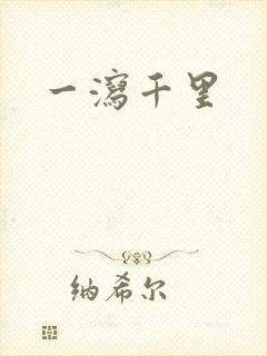 一泻千里封面