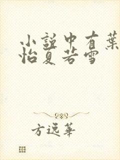 小说中有叶辰孙怡夏若雪