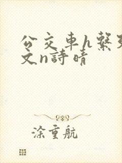 公交车h系列辣文n诗晴