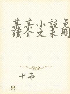 某某小说免费阅读全文未删减封面