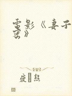 电影《妻子的秘密》