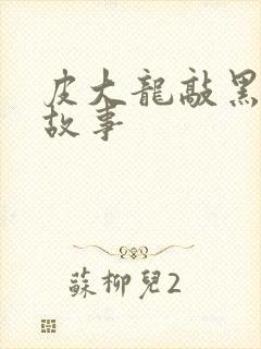 皮大龙敲黑板讲故事封面