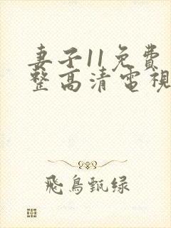 妻子11免费完整高清电视剧在线看