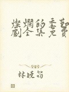 灿烂的季节电视剧全集免费